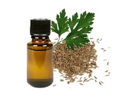 Parsley Seed Essential Oil